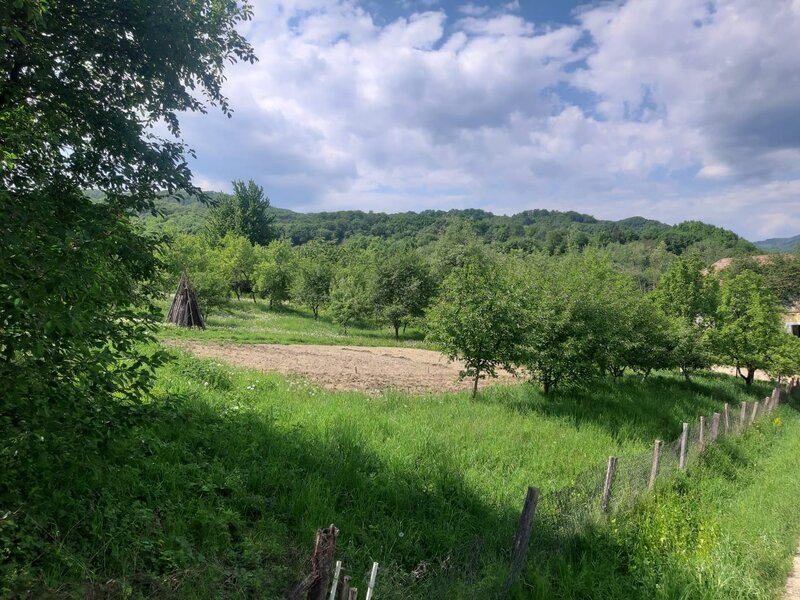 Olanesti, Valcea,